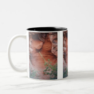 Caneca De Café Em Dois Tons Contrastes da cor, vale do fogo