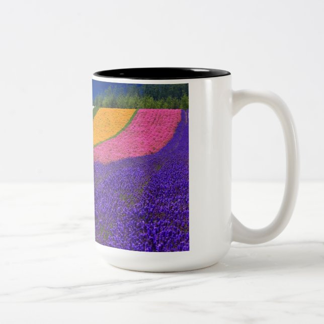 Caneca De Café Em Dois Tons copo cor (Direita)