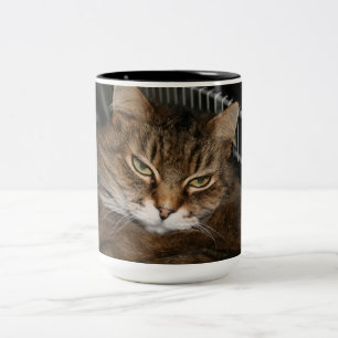 Caneca De Café Em Dois Tons Copo de café do gato