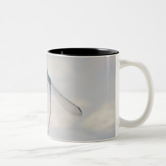 Caneca De Café Em Dois Tons Cópula dos Damselflies (Direita)