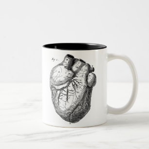 Caneca De Café Em Dois Tons Corações cardíacos retros da anatomia do coração