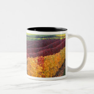 Caneca De Café Em Dois Tons Cores intensas de vermelho e amarelo no outono em