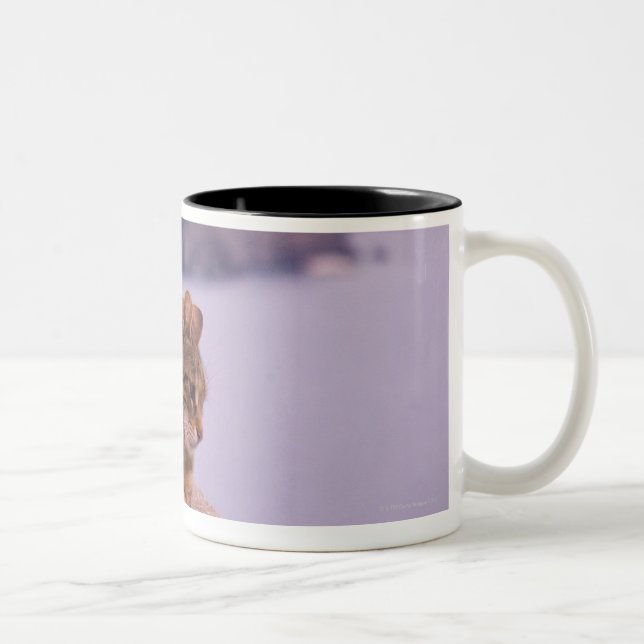Caneca De Café Em Dois Tons Corniglia, Cinque Terre, Italia (Direita)