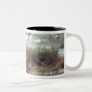 Caneca De Café Em Dois Tons Corredor dos cervos