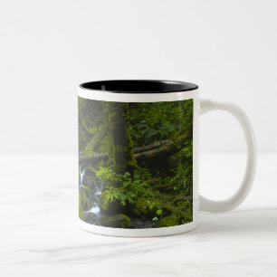 Caneca De Café Em Dois Tons Córrego da Floresta Temperada Chuvosa no Rio Colum