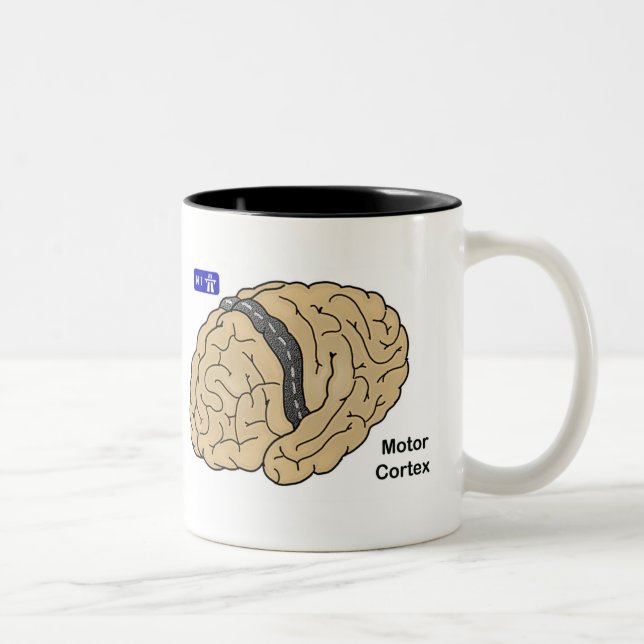Caneca De Café Em Dois Tons Cortex motor (Direita)