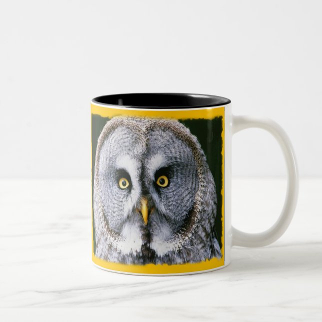 Caneca De Café Em Dois Tons Coruja 2 Mug (Direita)