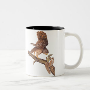 Caneca De Café Em Dois Tons Coruja Barred e Arte de Audubon Feliz Esquilo