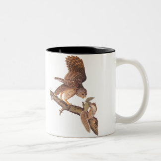 Caneca De Café Em Dois Tons Coruja Barred e Arte de Audubon Feliz Esquilo
