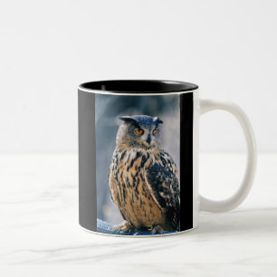 Caneca De Café Em Dois Tons Coruja de Eagle do Eurasian