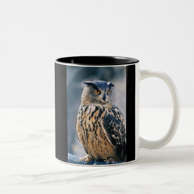 Caneca De Café Em Dois Tons Coruja de Eagle do Eurasian (Direita)