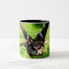 Caneca De Café Em Dois Tons Coruja de Eagle selvagem no vôo completo
