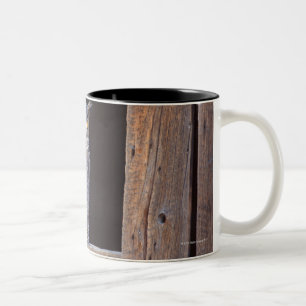 Caneca De Café Em Dois Tons Coruja empoleirada em uma janela