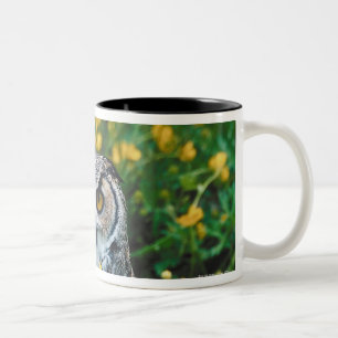 Caneca De Café Em Dois Tons Coruja Eyed laranja no prado das flores