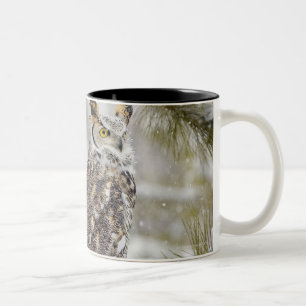 Caneca De Café Em Dois Tons Coruja orelhuda longa