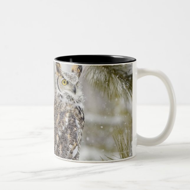 Caneca De Café Em Dois Tons Coruja orelhuda longa (Direita)