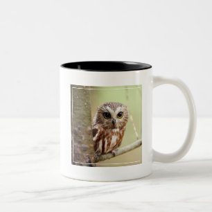 Caneca De Café Em Dois Tons Coruja pequena do bebê Ontarios