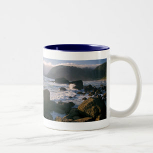 Caneca De Café Em Dois Tons Costa de Oregon
