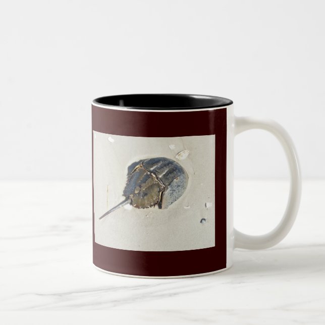 Caneca De Café Em Dois Tons Crab-Mug de Ferradura (Direita)