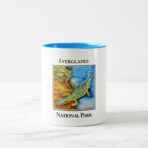 Caneca De Café Em Dois Tons Crocodilo no Parque Nacional de Everglades