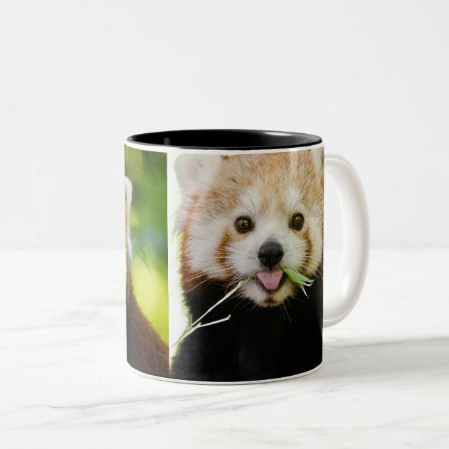 Caneca De Café Em Dois Tons Cute Red Panda Portrait (Frente Esquerda)