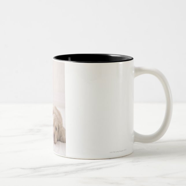 Caneca De Café Em Dois Tons Dachshund de duas miniaturas (Direita)