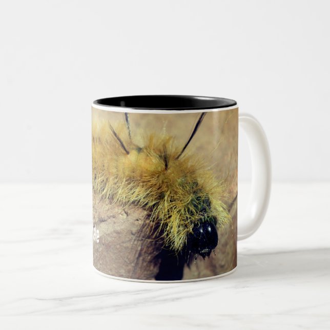 Caneca De Café Em Dois Tons Dagger Moth Caterillar Nature Personalizado (Frente Esquerda)