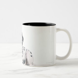 Caneca De Café Em Dois Tons Dalmatian 4