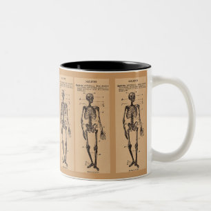 Caneca De Café Em Dois Tons Definição de "Esqueleto" de Vintage