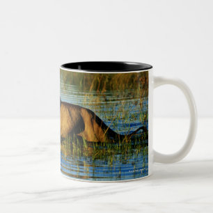 Caneca De Café Em Dois Tons Delta de Okavango, Botswana 3