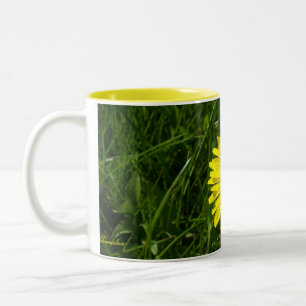 Caneca De Café Em Dois Tons Dente-de-leão, Pissenlit