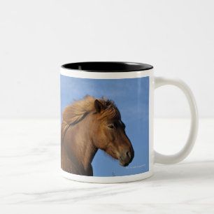 Caneca De Café Em Dois Tons Descanso islandês e céu do cavalo