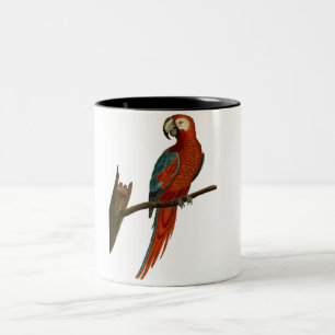 Caneca De Café Em Dois Tons Desenhar vermelho do papagaio