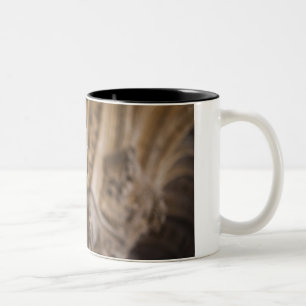 Caneca De Café Em Dois Tons Detalhe das claustras estátua do Patriarca Zacaria