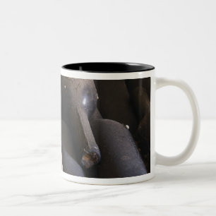 Caneca De Café Em Dois Tons Detalhe de garrafas empoeiradas sobre ripas de mad