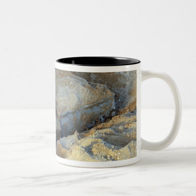 Caneca De Café Em Dois Tons Dois dispositivos do tipo caixa embalados (Direita)