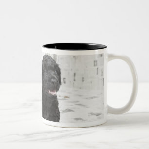 Caneca De Café Em Dois Tons Dois filhotes de cachorro portugueses do cão de