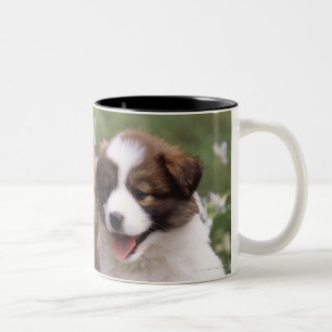 Caneca De Café Em Dois Tons Dois filhotes de cachorro que sentam-se junto