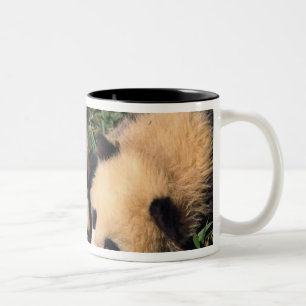 Caneca De Café Em Dois Tons Dois filhotes de panda no arbusto de bambu, Wolong