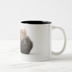 Caneca De Café Em Dois Tons Dois gatinhos que afagam no fundo branco