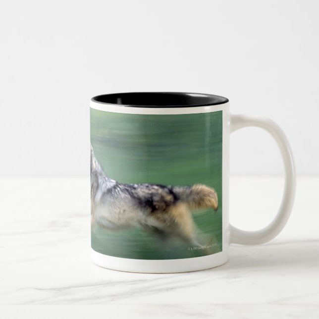Caneca De Café Em Dois Tons Dois lobos no prado da montanha (Direita)