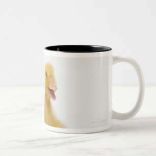 Caneca De Café Em Dois Tons Dois patos com ovos da páscoa