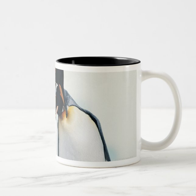 Caneca De Café Em Dois Tons Dois pinguins afectuosos (Direita)