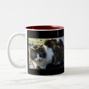 Caneca De Café Em Dois Tons Dois tonificaram a caneca do gatinho