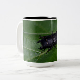Caneca De Café Em Dois Tons Dorcus parallelipipedus , o escaravelho inferior