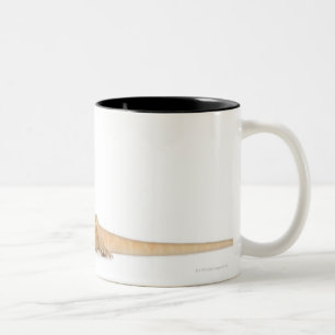 Caneca De Café Em Dois Tons Dragão farpado scaleless de SilkBacks - Pogona