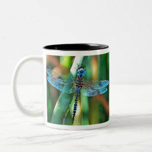 Caneca De Café Em Dois Tons Dragonfly Em Turquesa e Negro