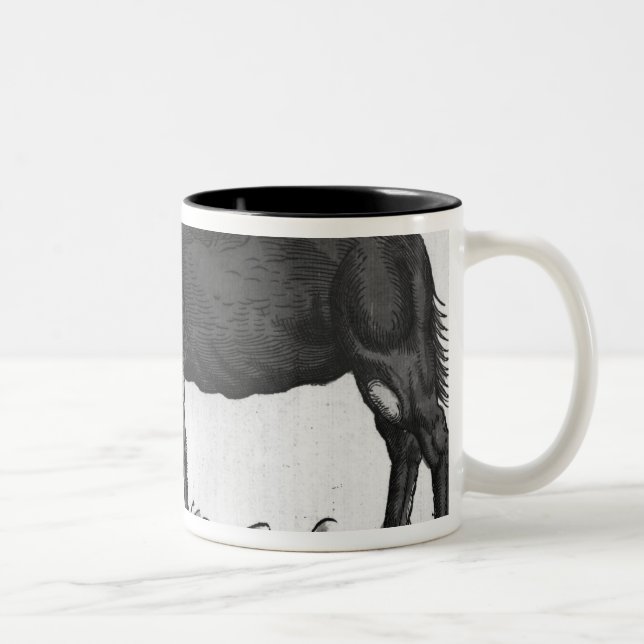Caneca De Café Em Dois Tons Dromedary, 'de Historial Animalium (Direita)
