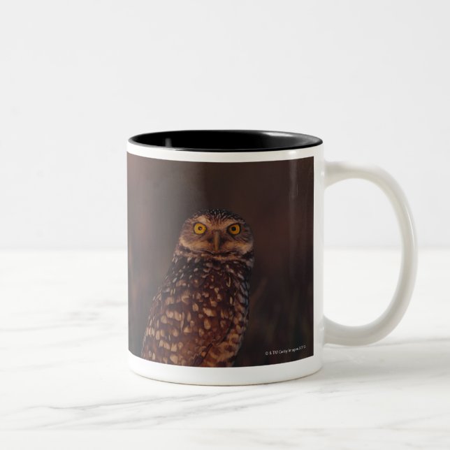 Caneca De Café Em Dois Tons Duas corujas na areia (Direita)