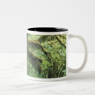 Caneca De Café Em Dois Tons E.U.A., Washington, Parque Nacional Olímpico.